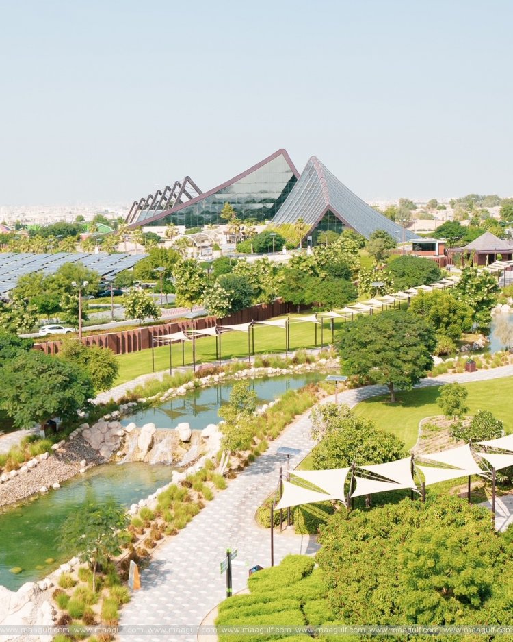 Winter camp in Dubai Safari Park